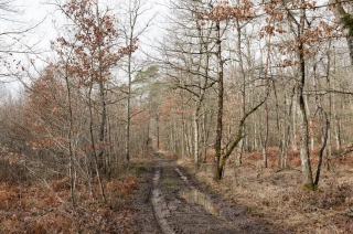 Saint-André le Désert, C-Print, 2021 - Bourgogne : le sillage du temps
