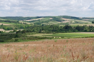 denisbaudier - Bourgogne : le sillage du temps