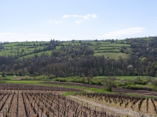 denisbaudier - Bourgogne : le sillage du temps